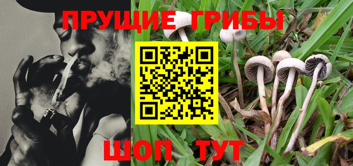 Псилоцибиновые грибы Magic Shrooms Шадринск