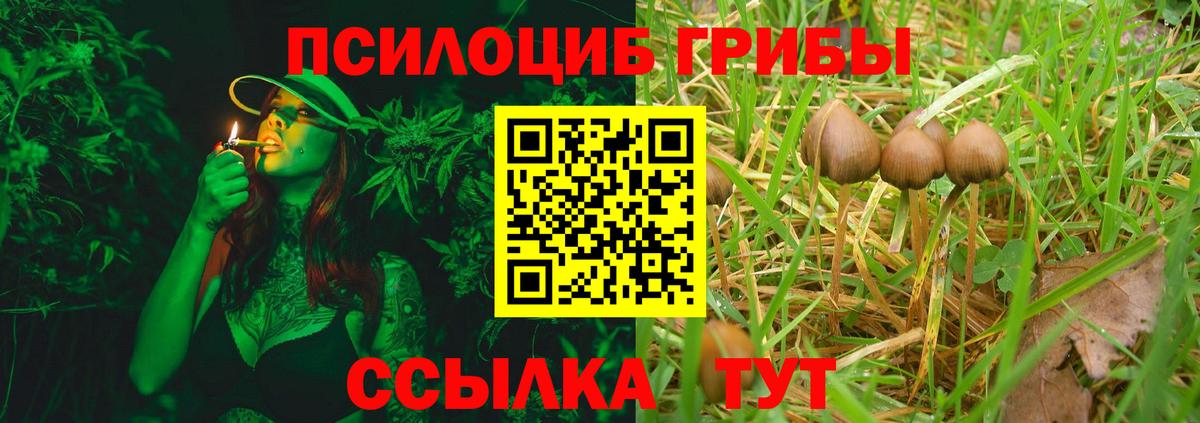 Псилоцибиновые грибы Psilocybine cubensis  Псилоцибиновые грибы Psilocybe  Вход с VPN  Шадринск 