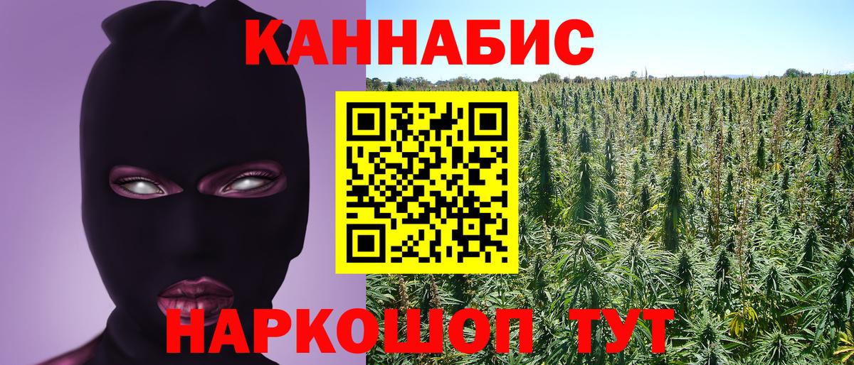 Шадринск  Марихуана планчик  Канабис план  Вход с VPN  Бошки марихуана Ganja  Канабис тримм 